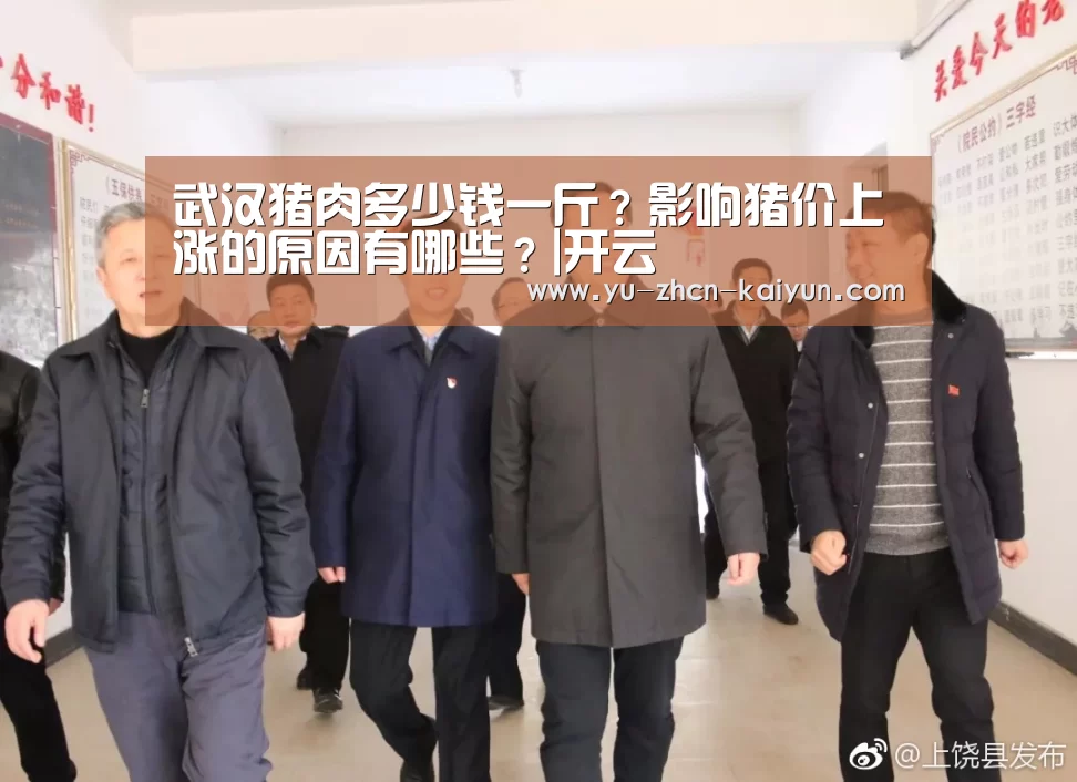 武汉猪肉多少钱一斤?影响猪价上涨的原因有哪些?|开云(图2) 武汉猪肉多少钱一斤?影响猪价上涨的原因有哪些?|开云(图2)