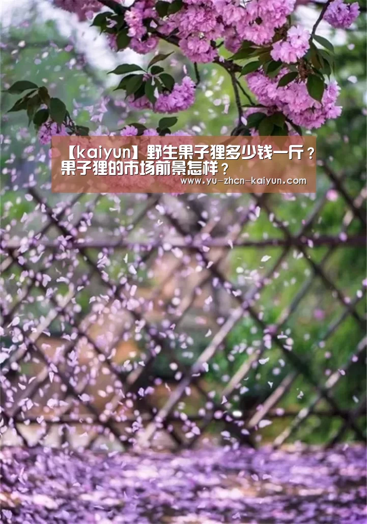 【kaiyun】野生果子狸多少钱一斤?果子狸的市场前景怎样?(图2) 【kaiyun】野生果子狸多少钱一斤?果子狸的市场前景怎样?(图2)