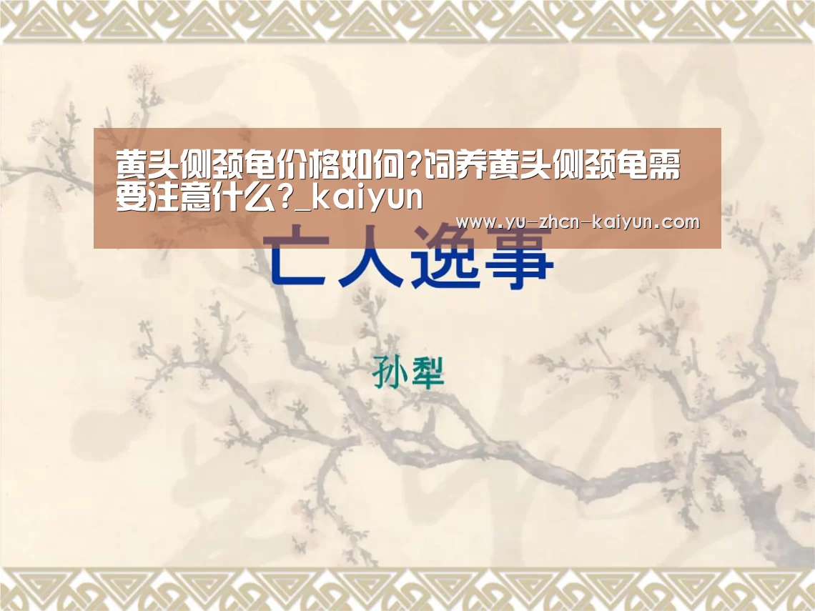黄头侧颈龟价格如何?饲养黄头侧颈龟需要注意什么?_kaiyun(图1)