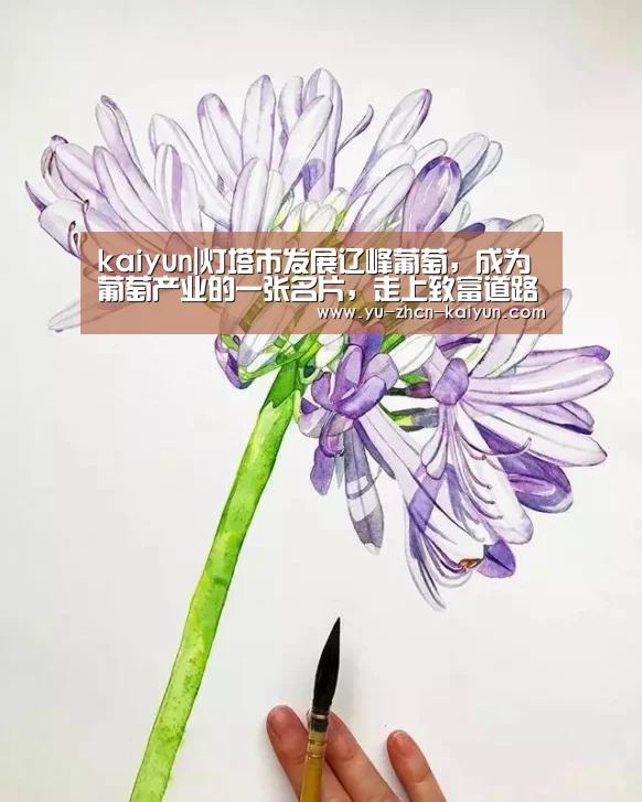 kaiyun|灯塔市发展辽峰葡萄,成为葡萄产业的一张名片,走上致富道路!(图1) 开云
