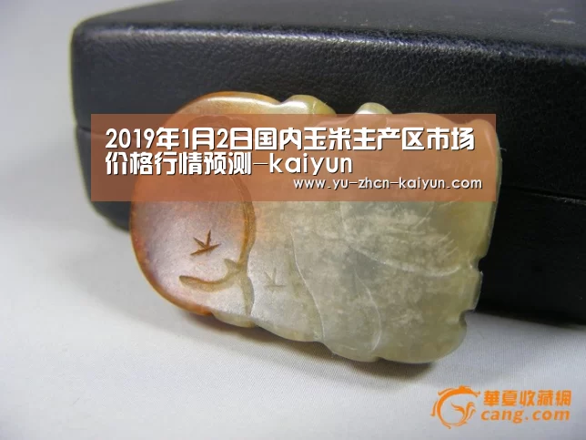 2019年1月2日国内玉米主产区市场价格行情预测-kaiyun(图1) 开云